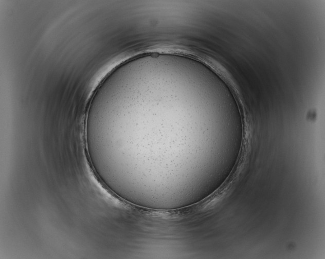 X0000115250855200911201641