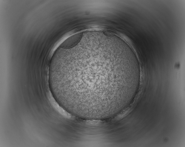 X0000115250859200911201641