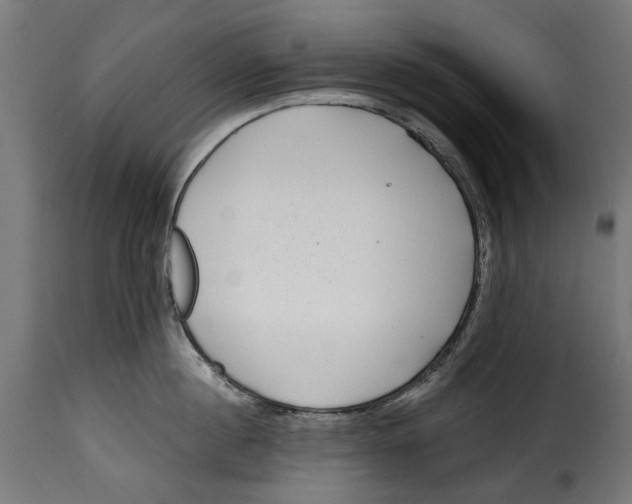 X0000115250860200911201641