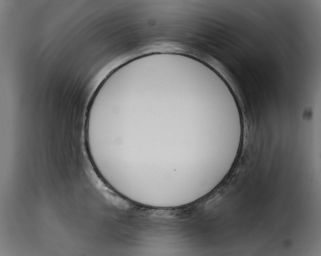 X0000115250861200911201641