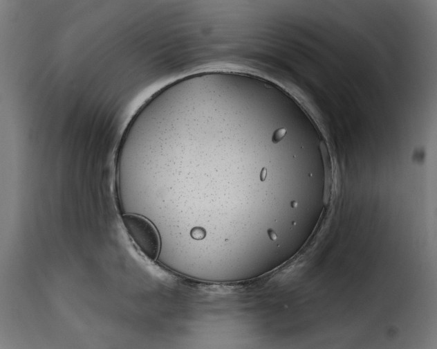 X0000115250862200911201641