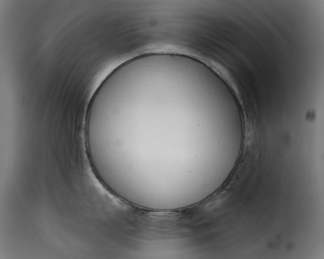 X0000115250863200911201641