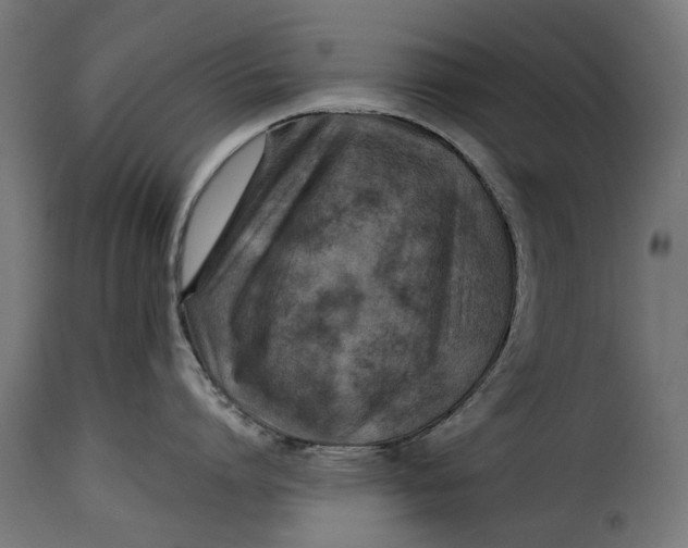 X0000115250864200911201641