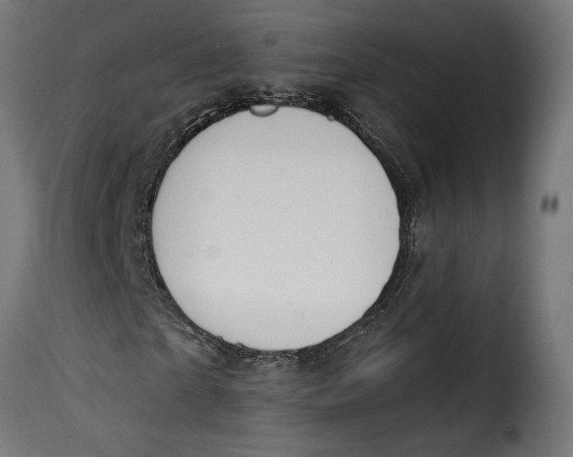 X0000115250865200911201640