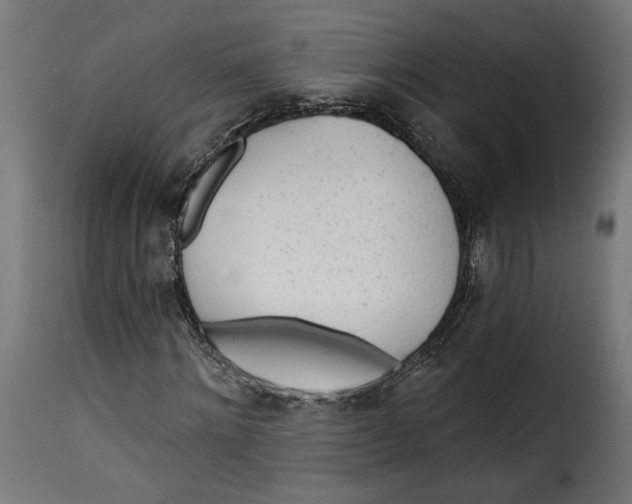 X0000115250868200911201640