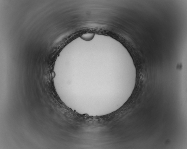 X0000115250869200911201640