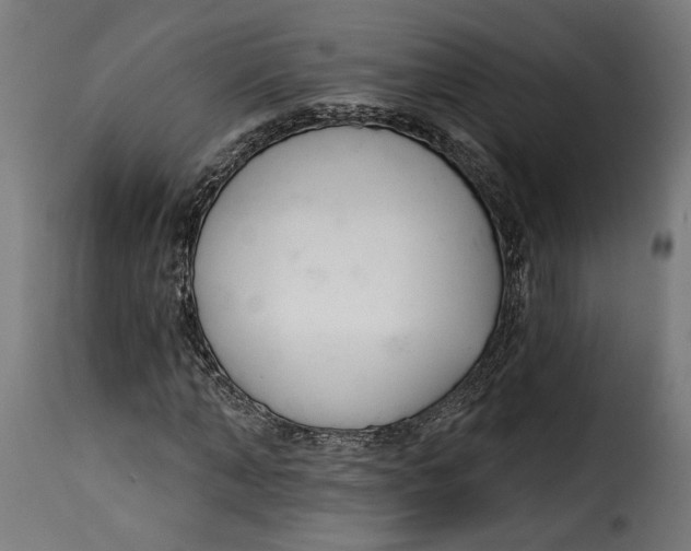 X0000115250870200911201640