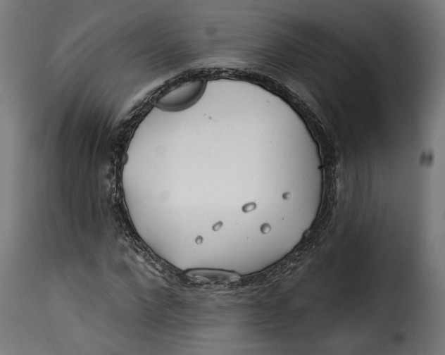 X0000115250872200911201640