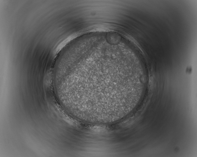 X0000115250874200911201640