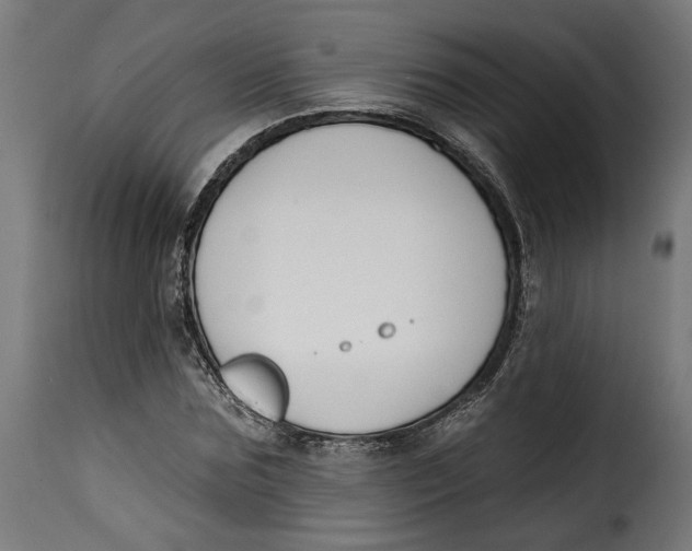 X0000115250875200911201640