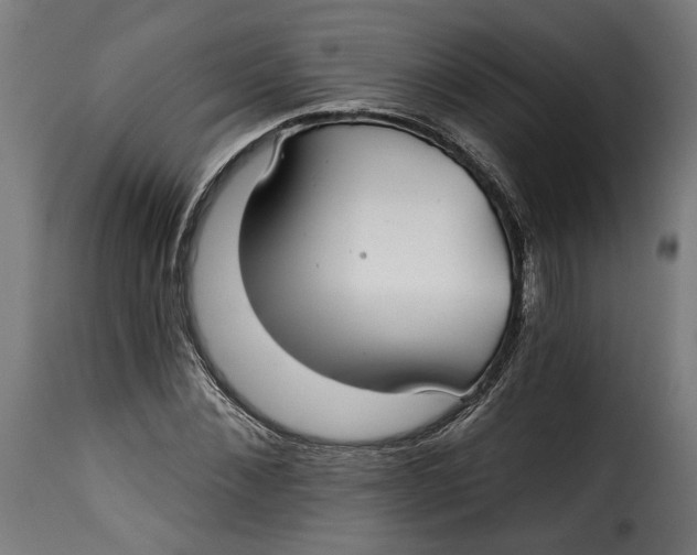 X0000115250876200911201640