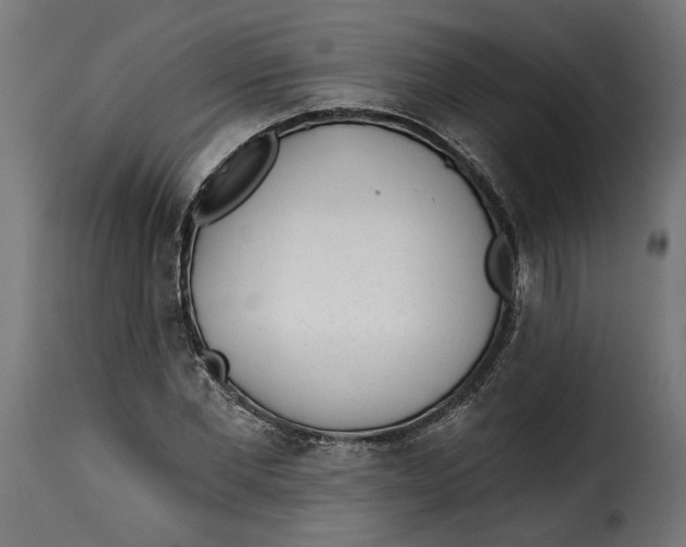 X0000115250877200911201640