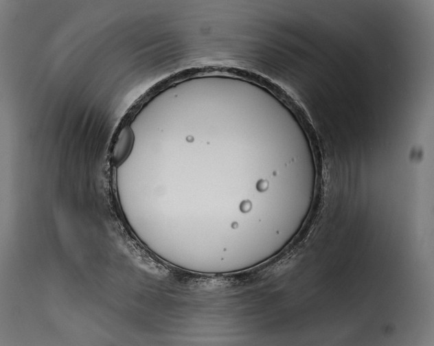 X0000115250879200911201640