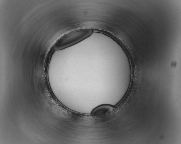 X0000115250880200911201640