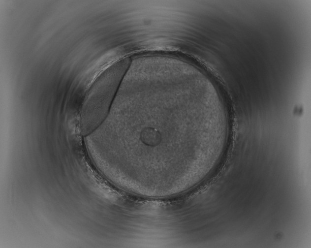 X0000115250881200911201640