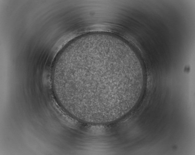 X0000115250882200911201640