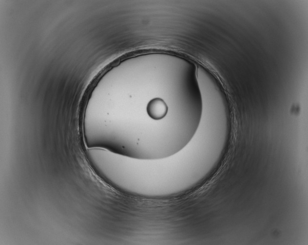 X0000115250884200911201640