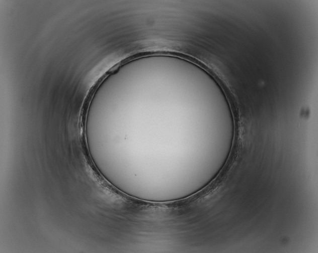 X0000115250885200911201640