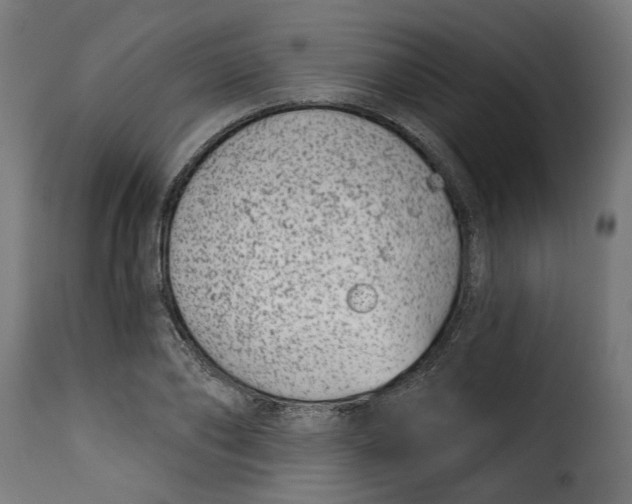 X0000115250886200911201640