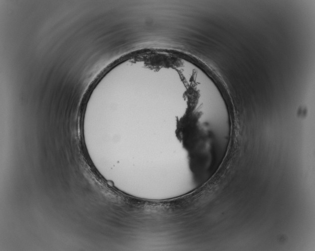 X0000115250887200911201640