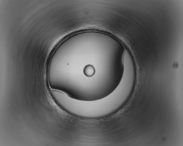 X0000115250888200911201640