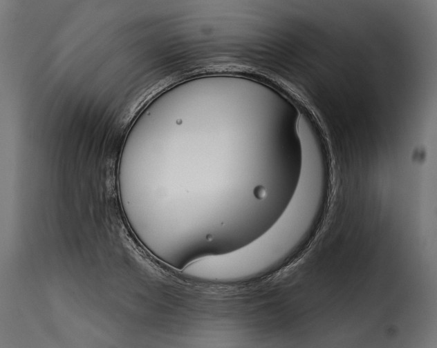 X0000115250889200911201640