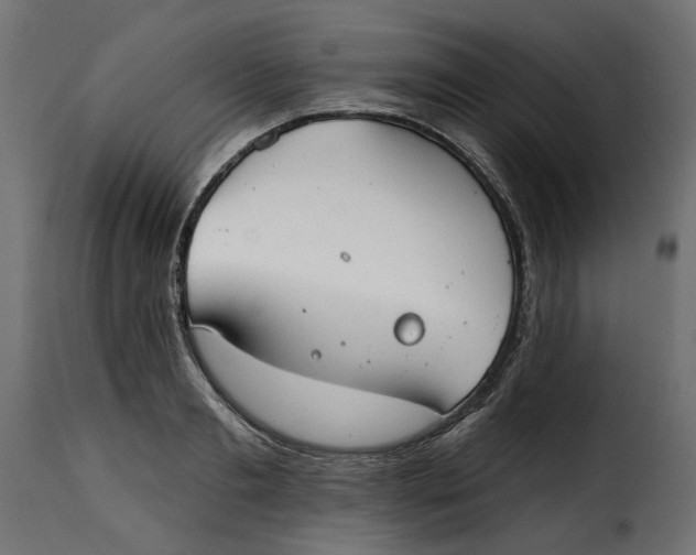 X0000115250893200911201640