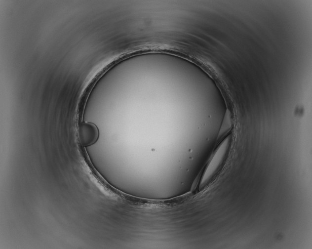 X0000115250894200911201640