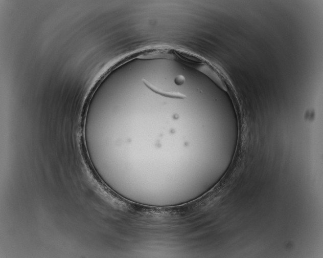 X0000115250895200911201640