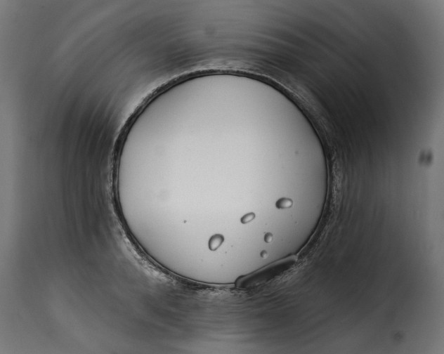 X0000115250896200911201640