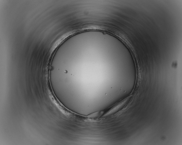 X0000115250898200911201640