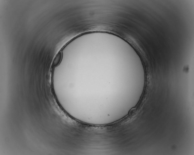 X0000115250900200911201640