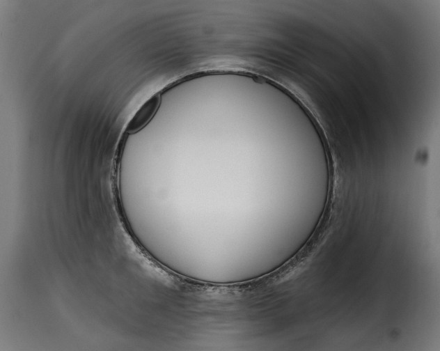 X0000115250901200911201640