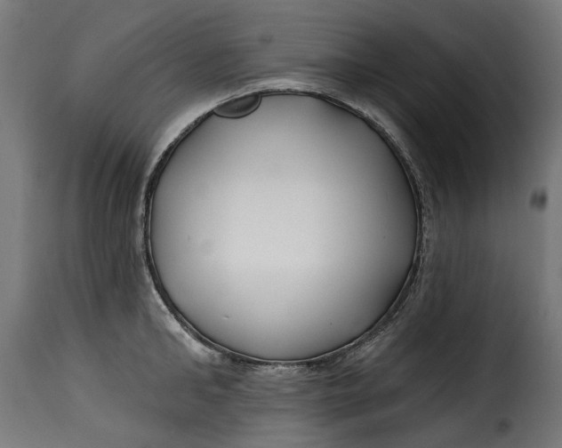 X0000115250902200911201640