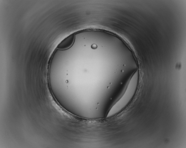 X0000115250903200911201640