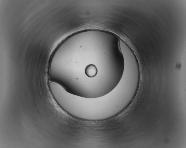 X0000115250904200911201640