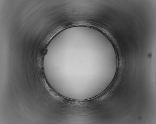 X0000115250905200911201640