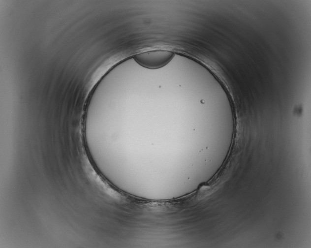 X0000115250906200911201640