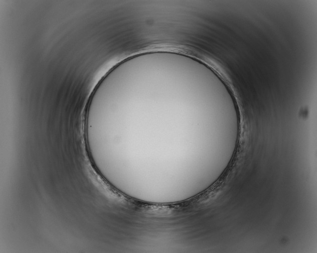 X0000115250907200911201640