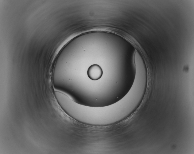 X0000115250908200911201639