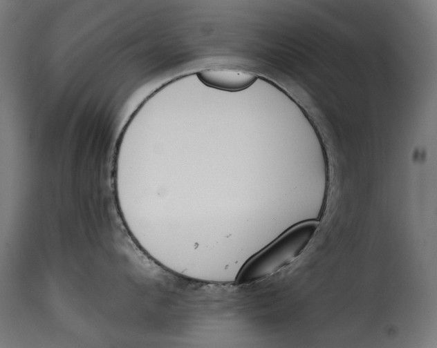 X0000115250912200911201639