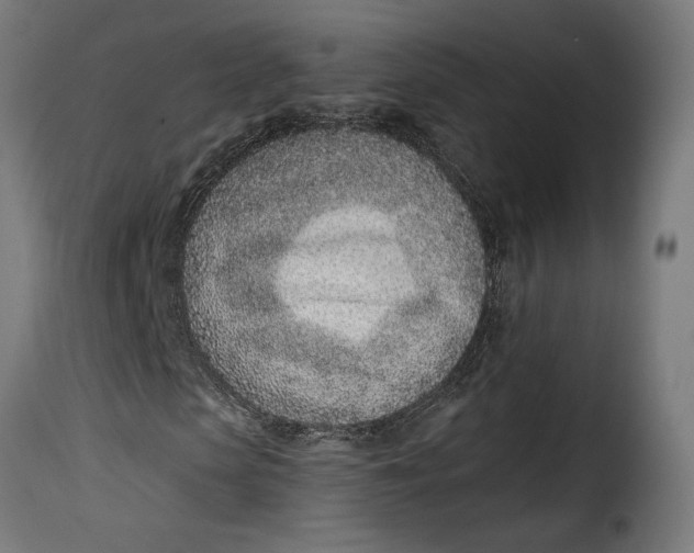 X0000115250913200911201639