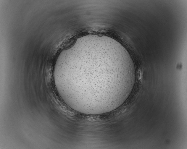 X0000115250915200911201639