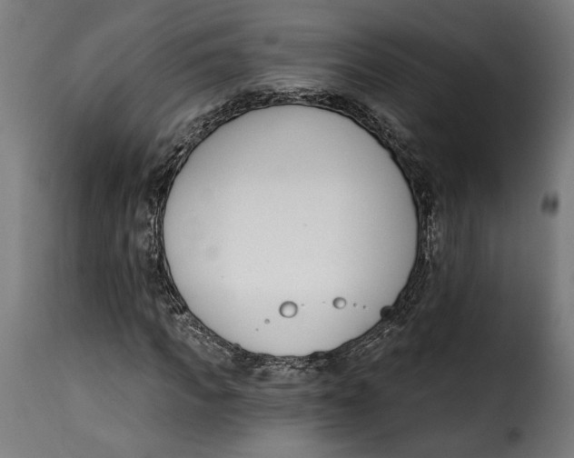 X0000115250917200911201639