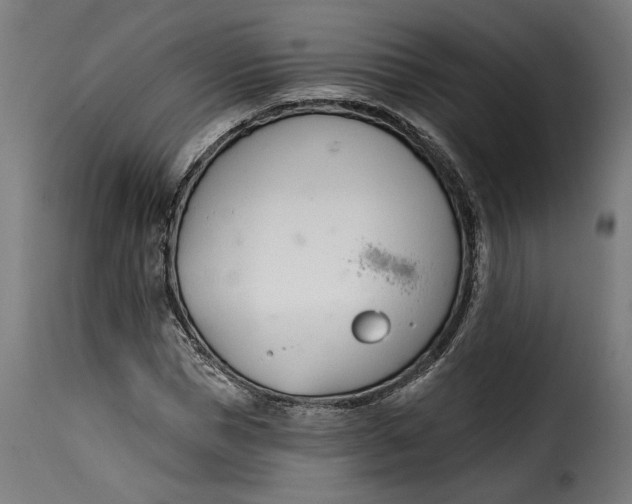 X0000115250921200911201639