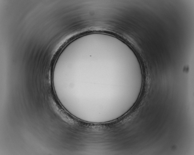 X0000115250934200911201639