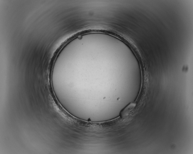 X0000115250935200911201639