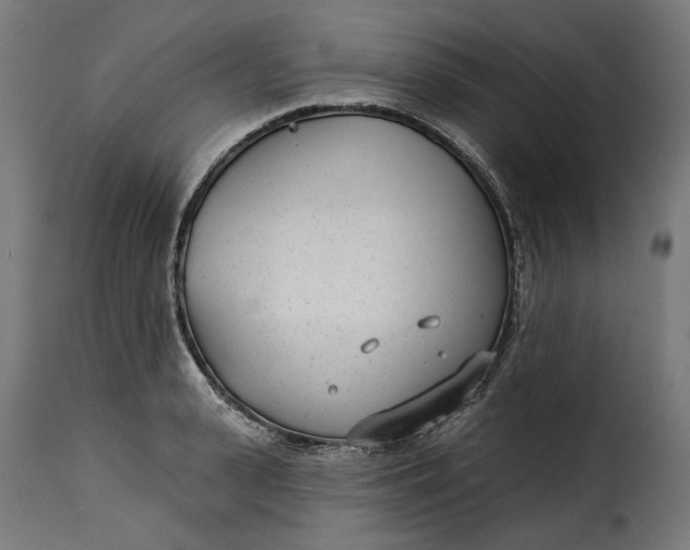 X0000115250943200911201639