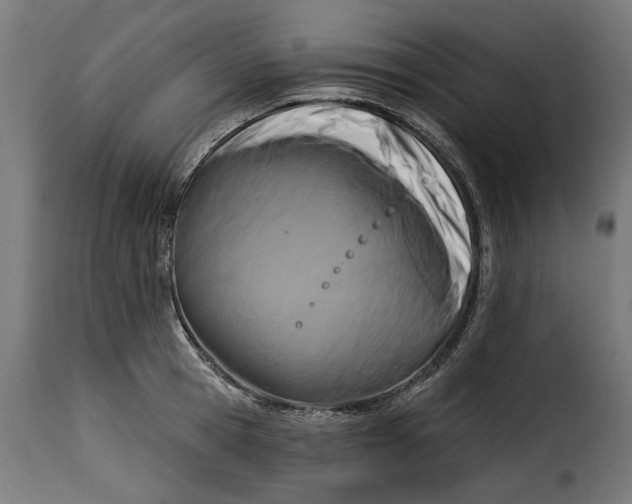 X0000115250945200911201639