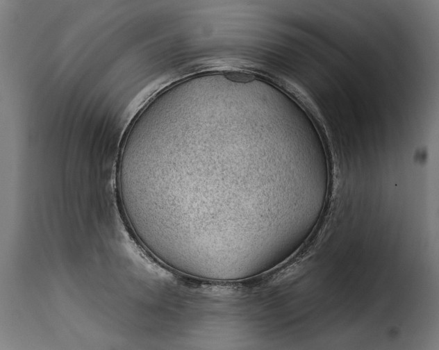 X0000115250946200911201639